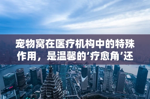 宠物窝在医疗机构中的特殊作用，是温馨的‘疗愈角’还是卫生隐患？