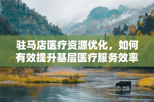 驻马店医疗资源优化，如何有效提升基层医疗服务效率？