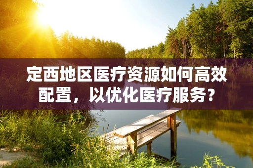 定西地区医疗资源如何高效配置，以优化医疗服务？