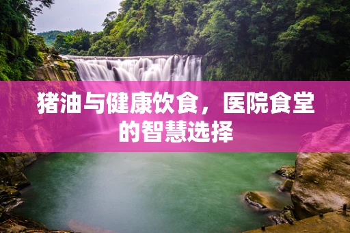 猪油与健康饮食，医院食堂的智慧选择