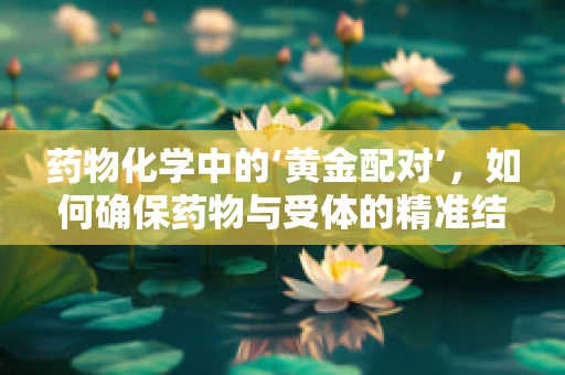 药物化学中的‘黄金配对’，如何确保药物与受体的精准结合？