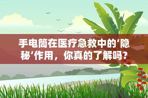 手电筒在医疗急救中的‘隐秘’作用，你真的了解吗？