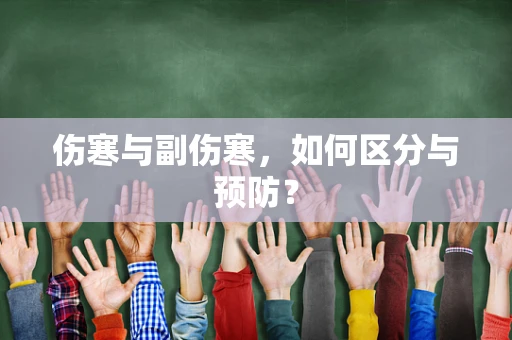 伤寒与副伤寒，如何区分与预防？
