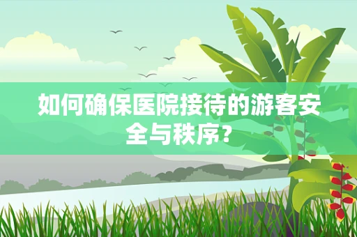 如何确保医院接待的游客安全与秩序？
