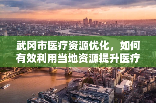 武冈市医疗资源优化，如何有效利用当地资源提升医疗服务？