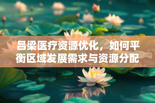 吕梁医疗资源优化，如何平衡区域发展需求与资源分配？