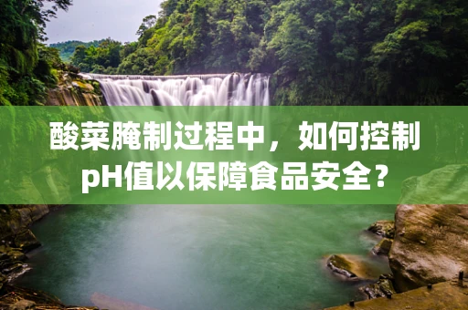 酸菜腌制过程中，如何控制pH值以保障食品安全？