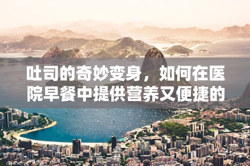 吐司的奇妙变身，如何在医院早餐中提供营养又便捷的选择？