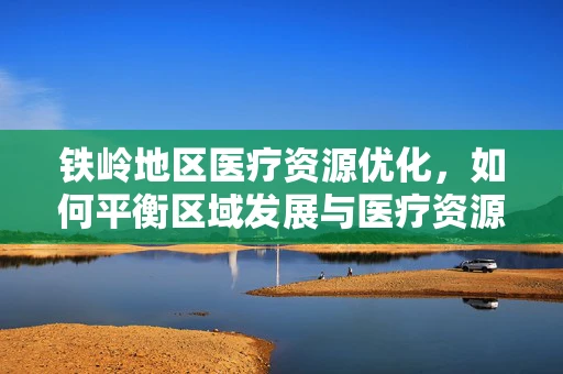铁岭地区医疗资源优化，如何平衡区域发展与医疗资源分配？