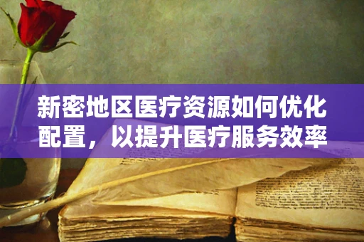 新密地区医疗资源如何优化配置，以提升医疗服务效率？