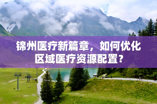 锦州医疗新篇章，如何优化区域医疗资源配置？
