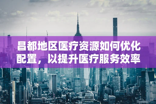 昌都地区医疗资源如何优化配置，以提升医疗服务效率？