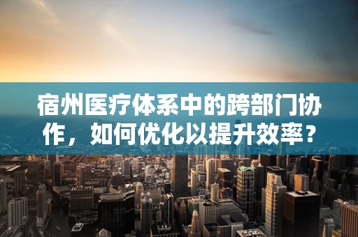 宿州医疗体系中的跨部门协作，如何优化以提升效率？