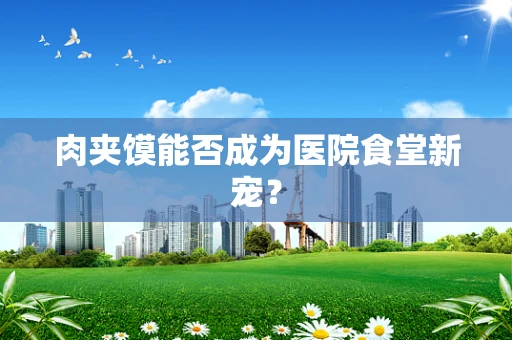 肉夹馍能否成为医院食堂新宠？