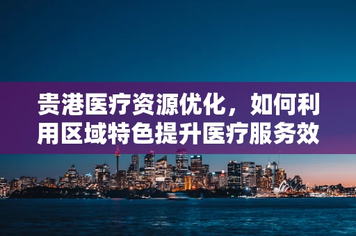 贵港医疗资源优化，如何利用区域特色提升医疗服务效率？