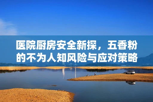 医院厨房安全新探，五香粉的不为人知风险与应对策略