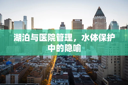 湖泊与医院管理，水体保护中的隐喻