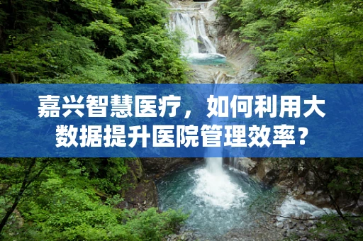 嘉兴智慧医疗，如何利用大数据提升医院管理效率？