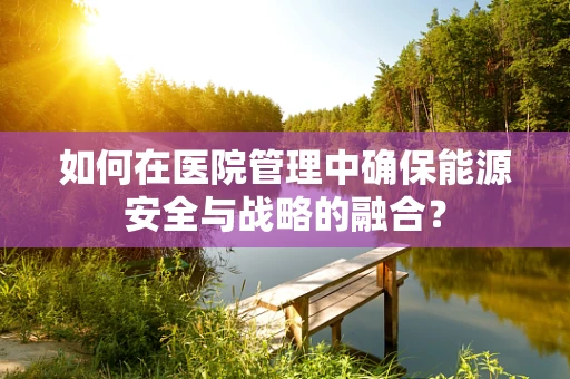 如何在医院管理中确保能源安全与战略的融合？
