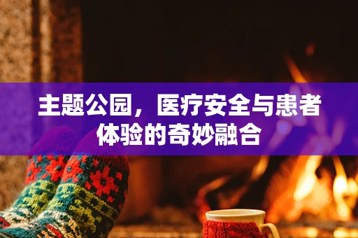 主题公园，医疗安全与患者体验的奇妙融合