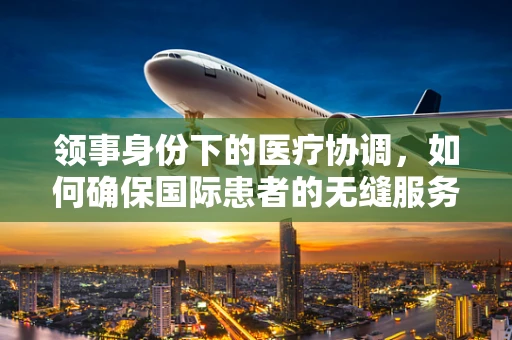 领事身份下的医疗协调，如何确保国际患者的无缝服务？