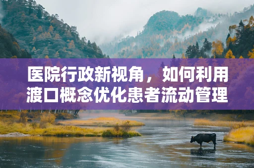医院行政新视角，如何利用渡口概念优化患者流动管理？