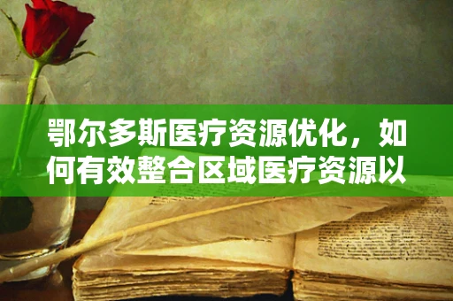 鄂尔多斯医疗资源优化，如何有效整合区域医疗资源以提升服务效率？