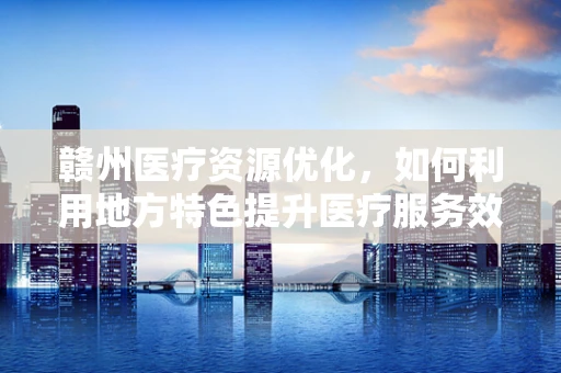 赣州医疗资源优化，如何利用地方特色提升医疗服务效率？