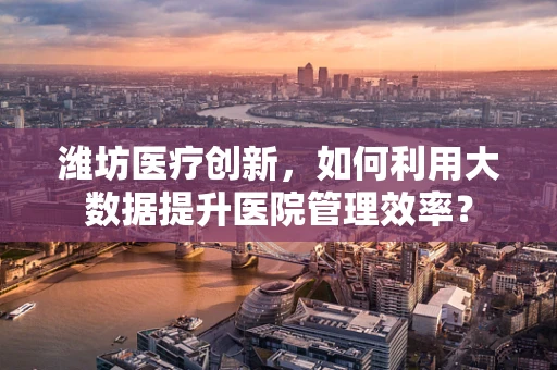 潍坊医疗创新，如何利用大数据提升医院管理效率？