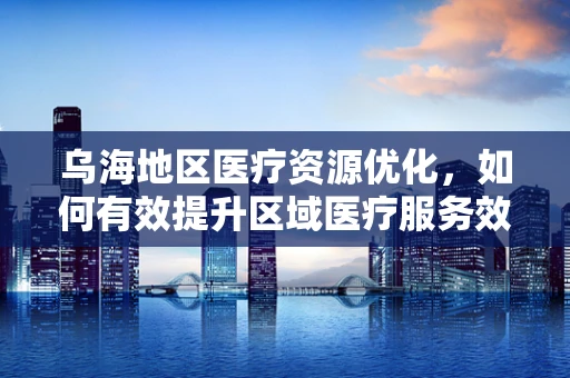 乌海地区医疗资源优化，如何有效提升区域医疗服务效率？
