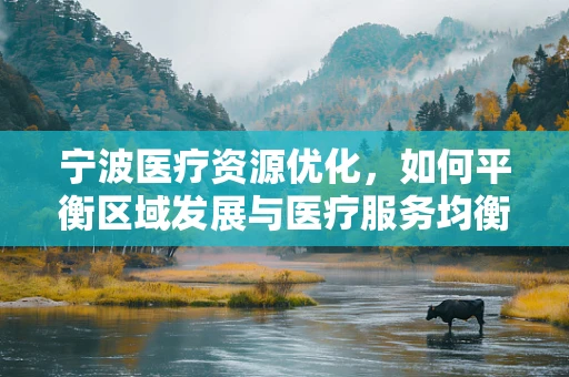 宁波医疗资源优化，如何平衡区域发展与医疗服务均衡？