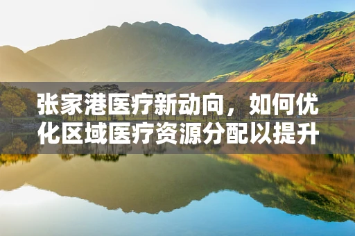张家港医疗新动向，如何优化区域医疗资源分配以提升医疗服务效率？