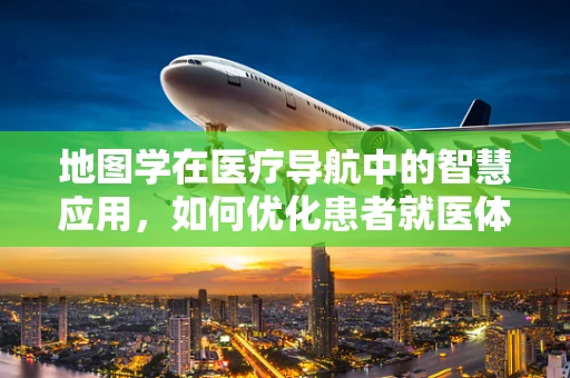 地图学在医疗导航中的智慧应用，如何优化患者就医体验？