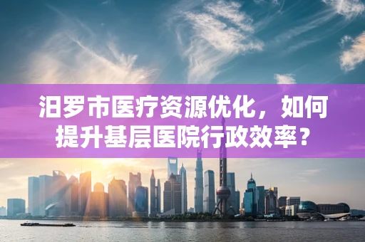 汨罗市医疗资源优化，如何提升基层医院行政效率？