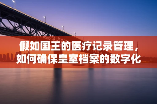 假如国王的医疗记录管理，如何确保皇室档案的数字化与安全？