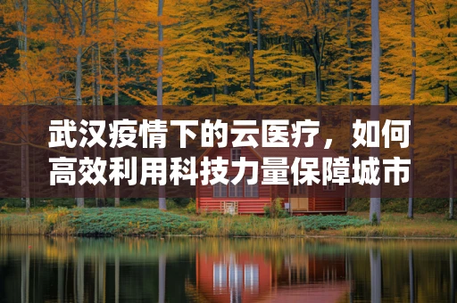 武汉疫情下的云医疗，如何高效利用科技力量保障城市医疗资源？