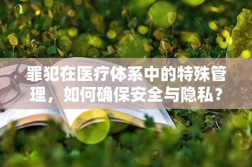 罪犯在医疗体系中的特殊管理，如何确保安全与隐私？