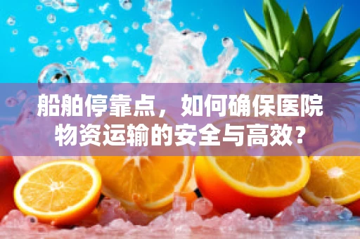 船舶停靠点，如何确保医院物资运输的安全与高效？