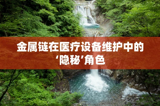 金属链在医疗设备维护中的‘隐秘’角色