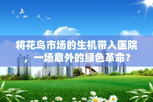 将花鸟市场的生机带入医院，一场意外的绿色革命？