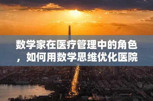 数学家在医疗管理中的角色，如何用数学思维优化医院运营？