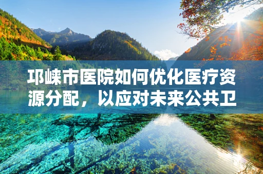 邛崃市医院如何优化医疗资源分配，以应对未来公共卫生挑战？