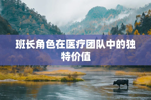 班长角色在医疗团队中的独特价值
