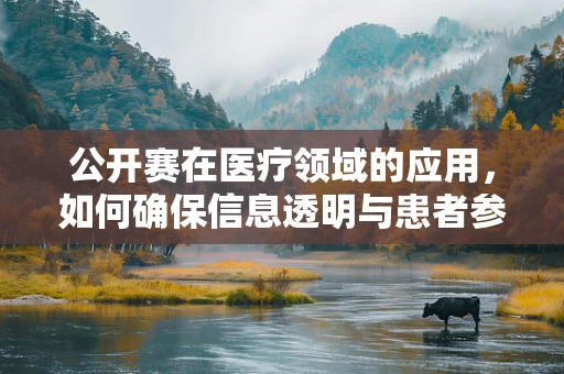 公开赛在医疗领域的应用，如何确保信息透明与患者参与？