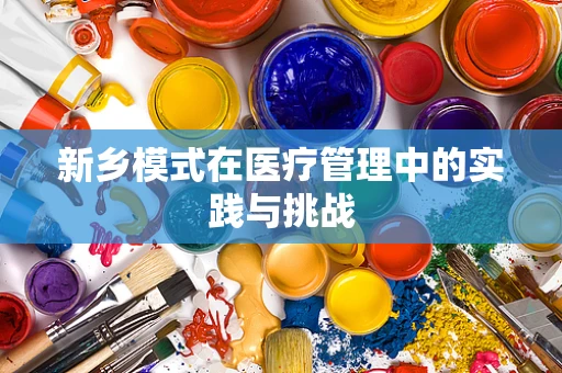 新乡模式在医疗管理中的实践与挑战