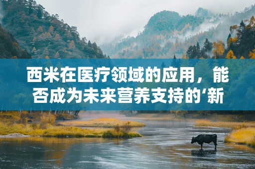 西米在医疗领域的应用，能否成为未来营养支持的‘新星’？