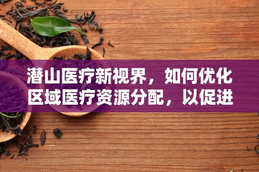 潜山医疗新视界，如何优化区域医疗资源分配，以促进均衡发展？