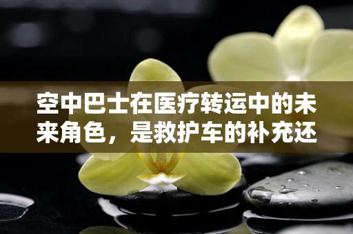 空中巴士在医疗转运中的未来角色，是救护车的补充还是替代者？