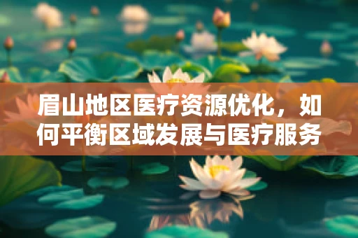 眉山地区医疗资源优化，如何平衡区域发展与医疗服务？