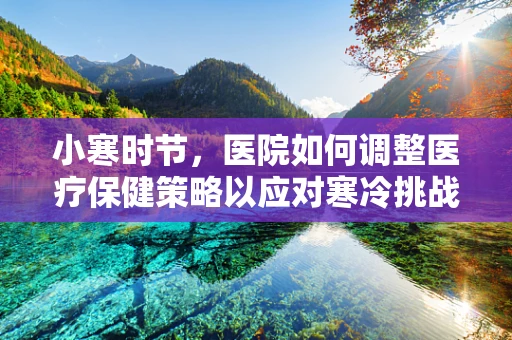 小寒时节，医院如何调整医疗保健策略以应对寒冷挑战？